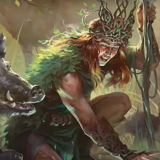Druid