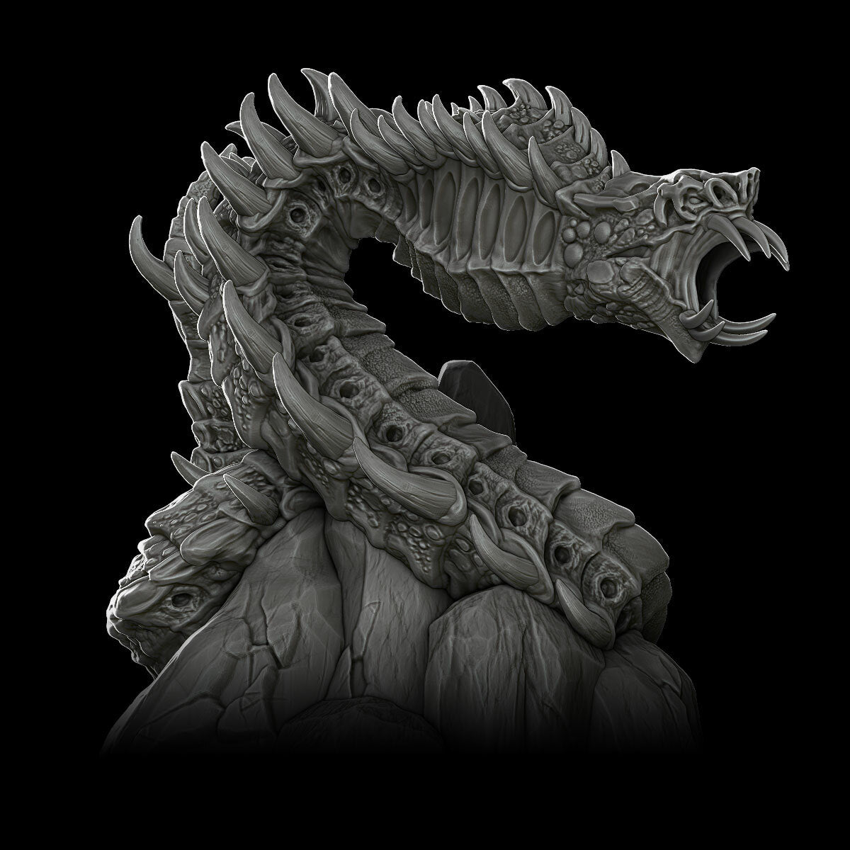 a black and white photo of a dragon