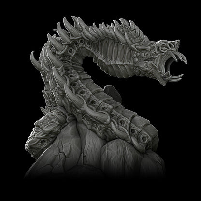 a black and white photo of a dragon